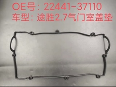 guarnizione della copertura della valvola