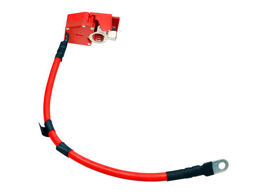 Cavo della batteria Rosso Colore stabile qualità originale:61128796959