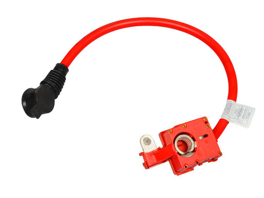 Cavi per batterie di auto rosse Cavi per batterie di auto OE: # 61129217036